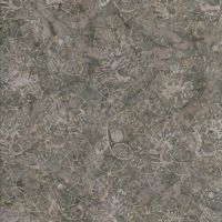 ttTONGA-B6868 TRUFFLE